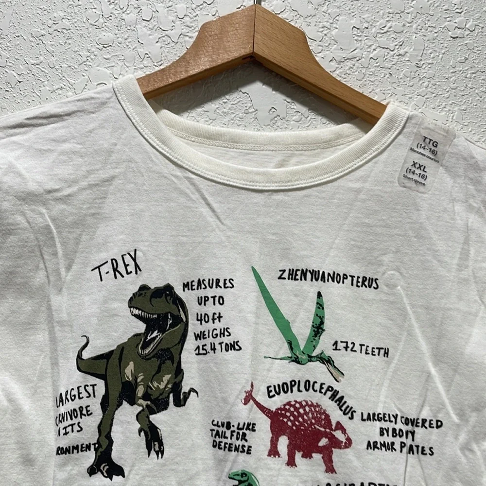 Polo Ralph Lauren & GAP kids set size 16 GUC dinosaurs…